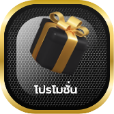 โปรโมชั่น