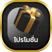 โปรโมชั่น